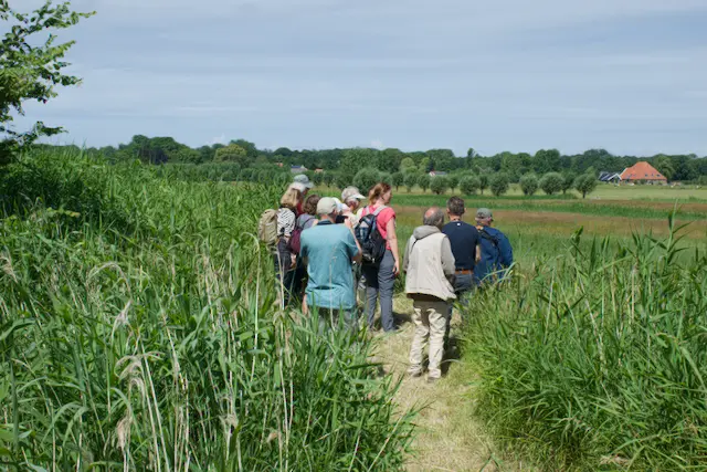 Een groep excursie deelnemers staat op ‘het Bergje’ en kijkt uit over het rerrein van de Hooge Weide.