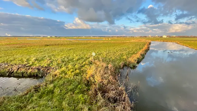 Tijdens de excursie ziet u de Hendrik Sloot naast de Groote Ven.