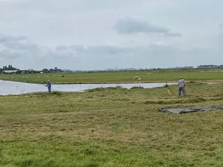 Her maaien en bij elkaar harken van het gras en riet.